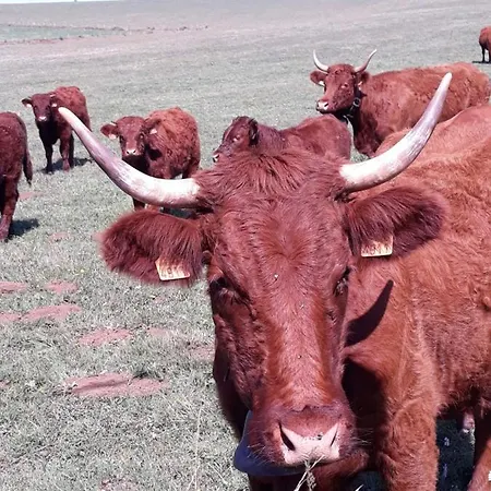 Acabatz De Dintrar Bed & Breakfast 3*