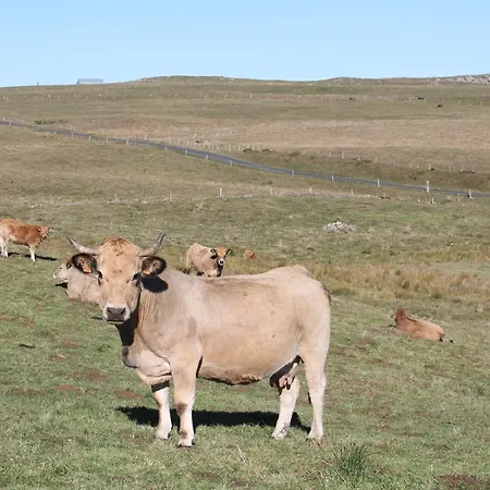 Bed & Breakfast Acabatz De Dintrar